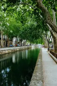 Beautiful canal with tree-lined banks in a vibrant urban cityscape during summer.